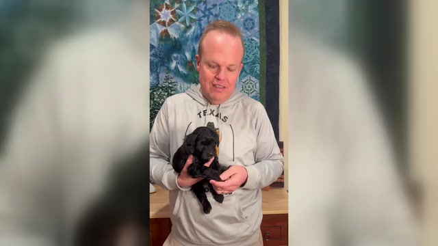 Video preview image #3  Breeder Profile in VICTORIA, TX, USA